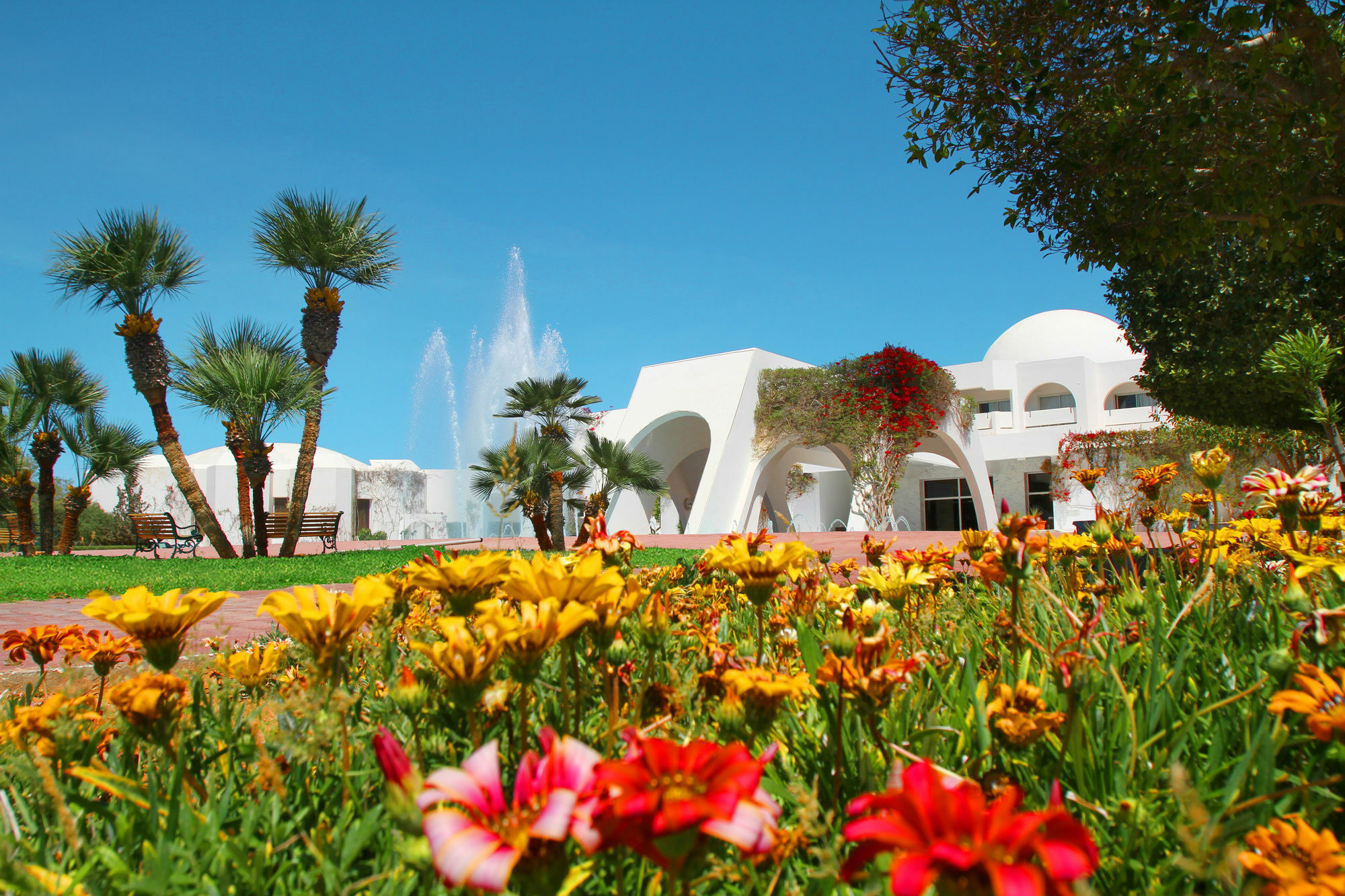 Djerba Plaza Thalasso & Spa Triffa Екстериор снимка